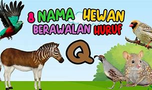 Sebutkan Nama Hewan Berawalan Dari Huruf F